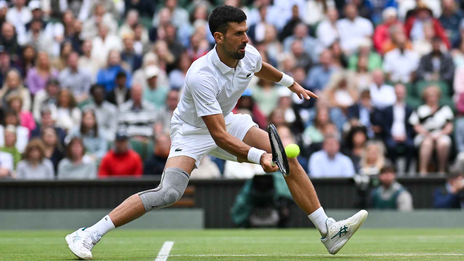 Novak Djokovic will face Carlos Alcaraz in the final on Sunday.