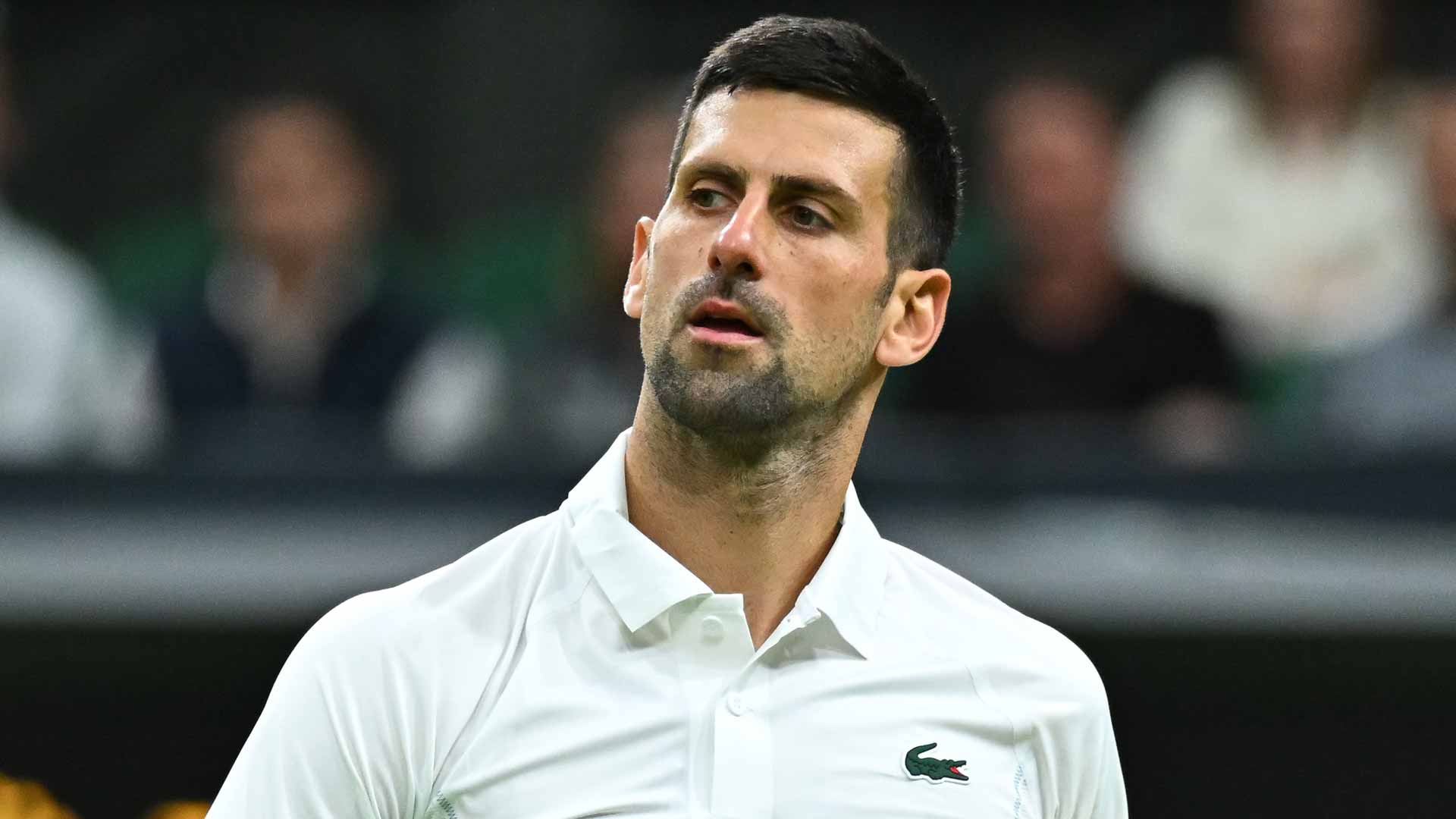 Novak Djokovic perdió la final de Wimbledon en su último evento ATP.